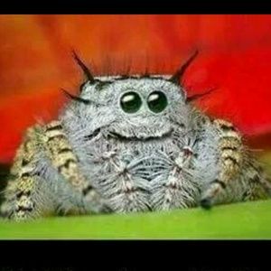 Meet your Posher, Rich