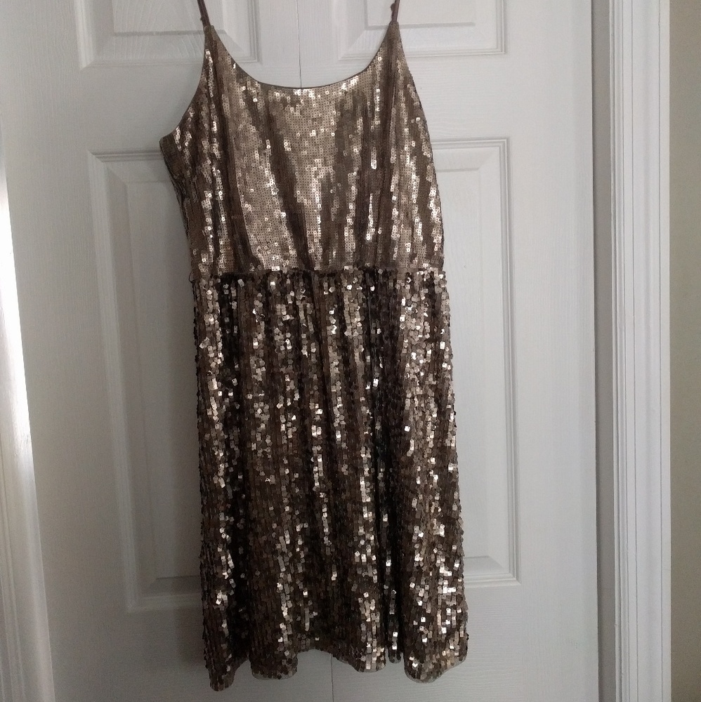 Sparkly Party Dress
