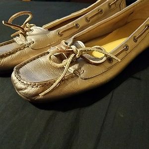 Sperry shoes