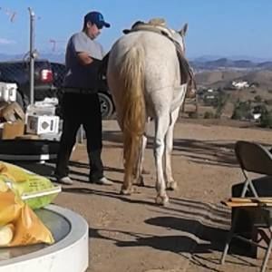 Meet your Posher, Sandra