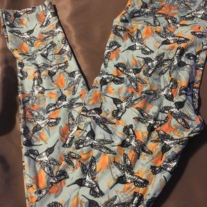 Lularoe hummingbird leggings os