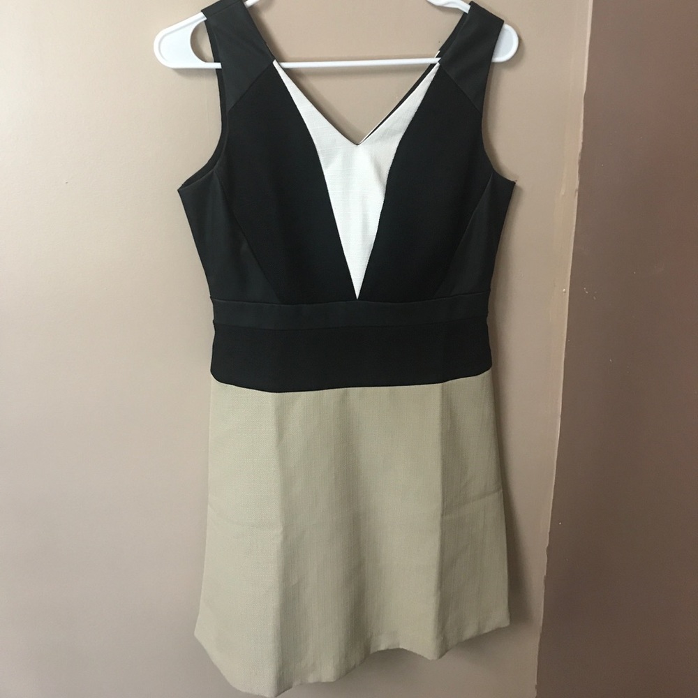 Ann Taylor Black and Tan dress
