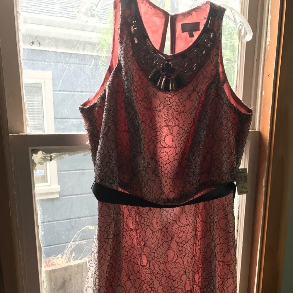 Lovely Adriana Papell 14W Dress NWT