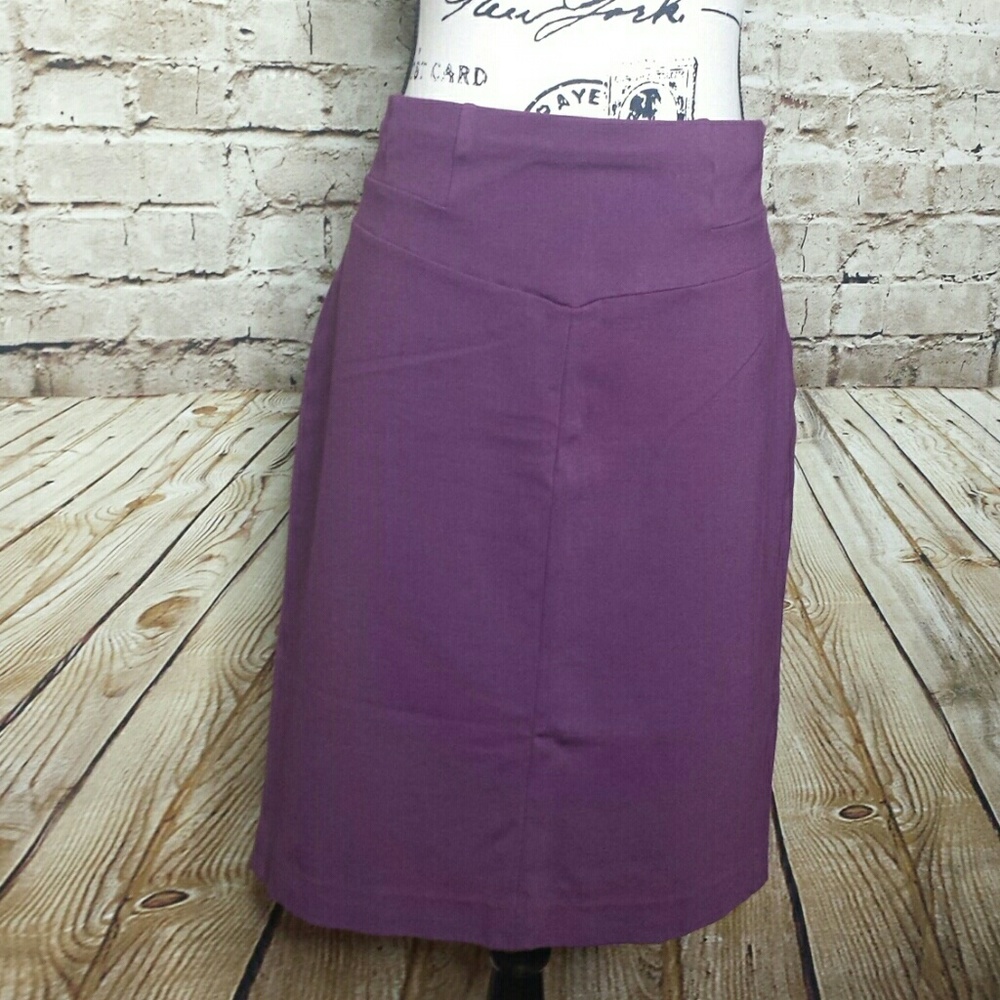 Ann Taylor Women's A-line Skirt Size 16 Purple