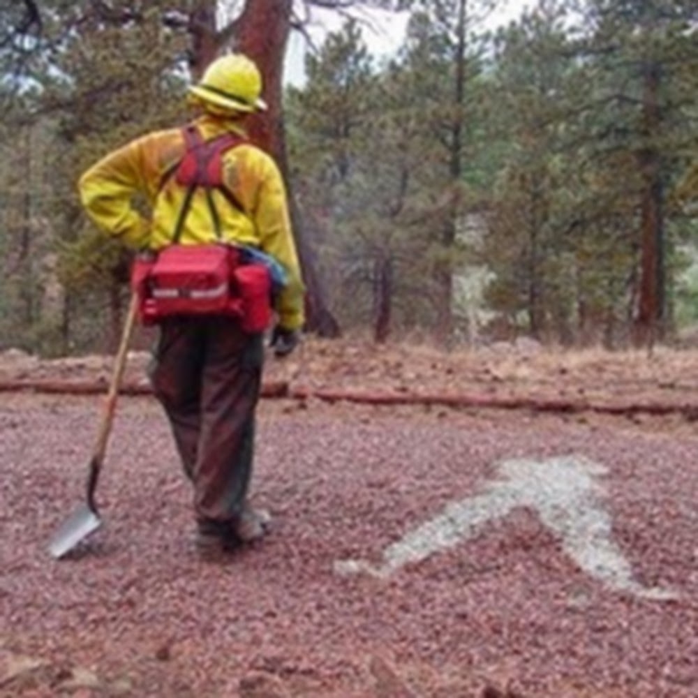 Meet your Posher, Patience