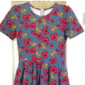 LuLaRoe Amelia Dress size Small