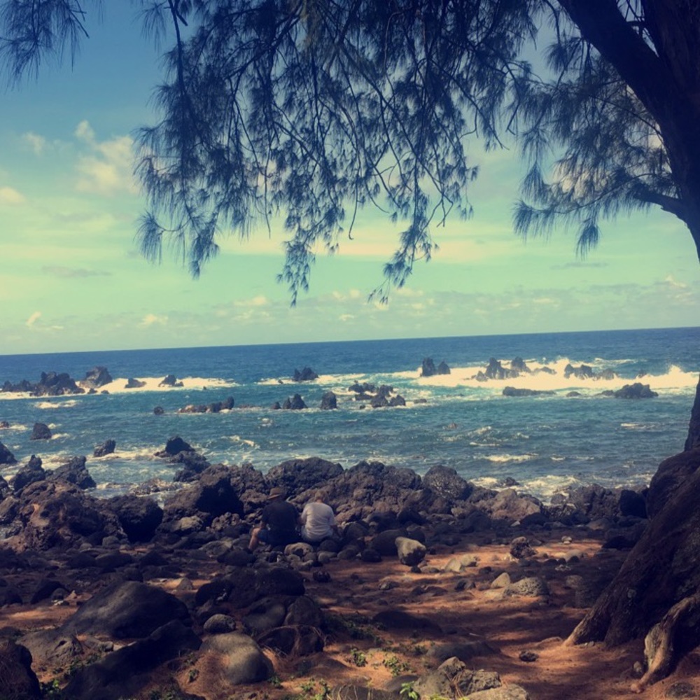 Meet your Posher, Chelsea