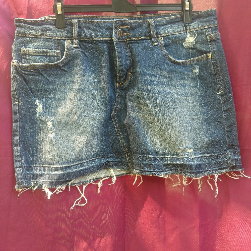 Vigoss jean skirt