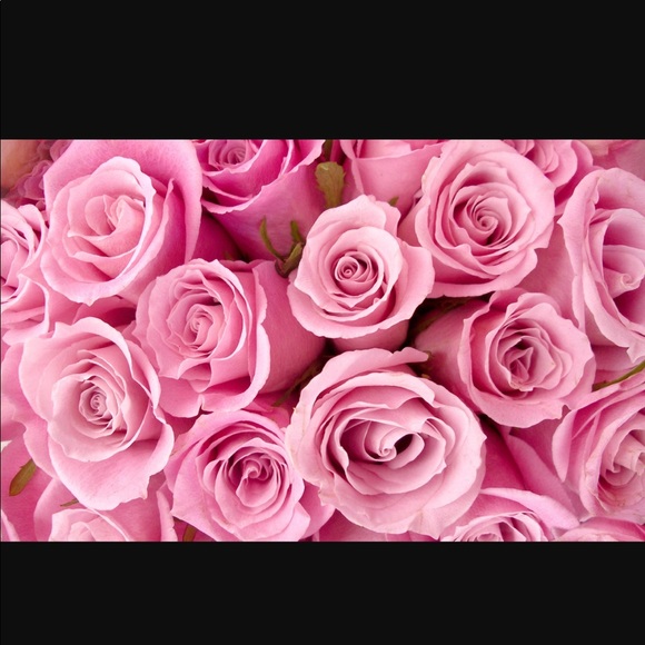 🌸WELCOME TO Da’Honey Chestnut 🌺 - Picture 5 of 8