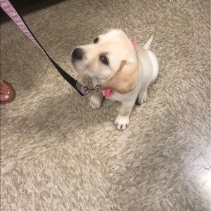 Meet your Posher, Nancy