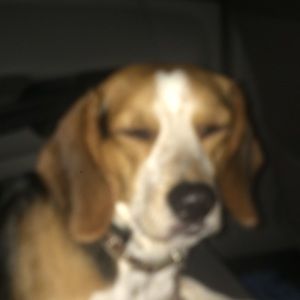 Meet your Posher, Patrick