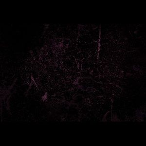 Meet your Posher, Richard