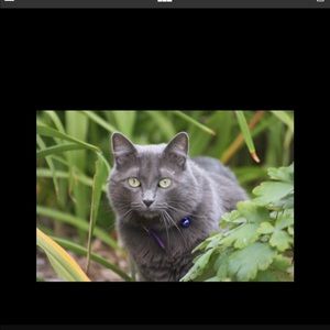 All reasonable offers are accepted