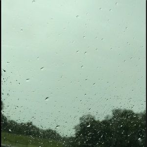 Meet your Posher, Jolie