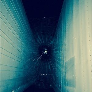 Meet your Posher, Rich