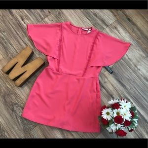 BRAND NEW WITH TAGS New York & Company Skort