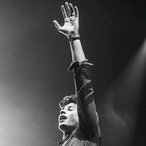 Meet your Posher, Riley