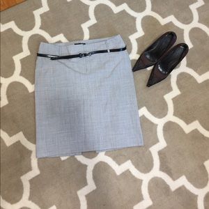 Express Pencil Skirt