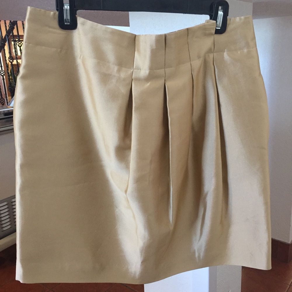 Banana Republic skirt