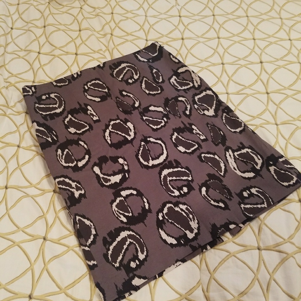 Women's Ann Taylor skirt