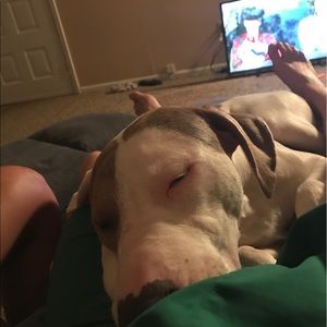 Meet your Posher, Sam