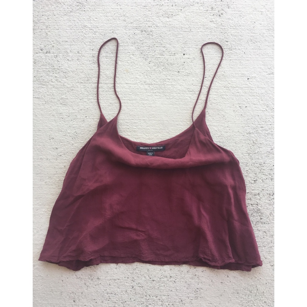 Brandy Melville : bergundy crop top