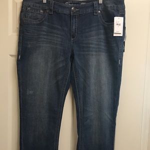 Lane Bryant Seven 7 Luxe Jeans