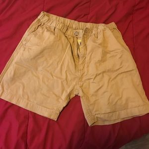 XL Tan Chubbies