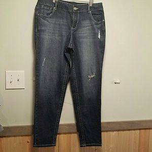 Lane Bryant Skinny Jeans