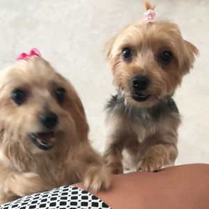 Meet your Posher, Marcela