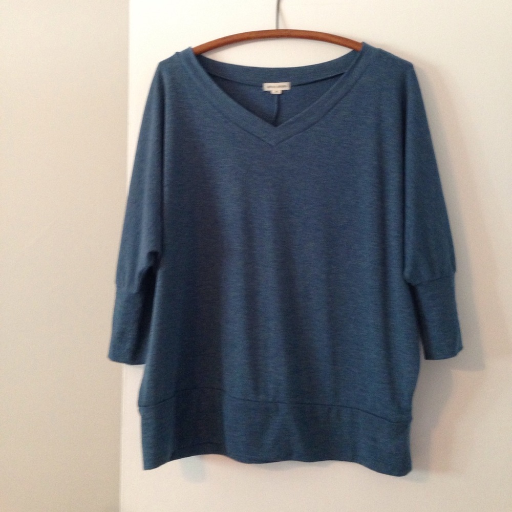 Comfy blue dolman top