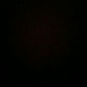 Meet your Posher, Randy