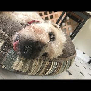 Meet your Posher, Chris