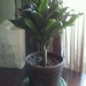 Meet your Posher, Jennine