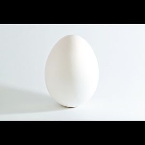 Meet your Posher, Eli