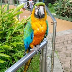 Meet your Posher, Luz