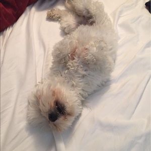 Meet your Posher, Ash