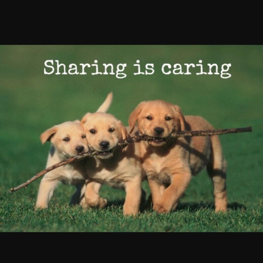Please follow and share. I love sharing back!