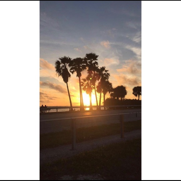 Meet your Posher, Ivy - Picture 1 of 1