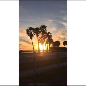 Meet your Posher, Ivy