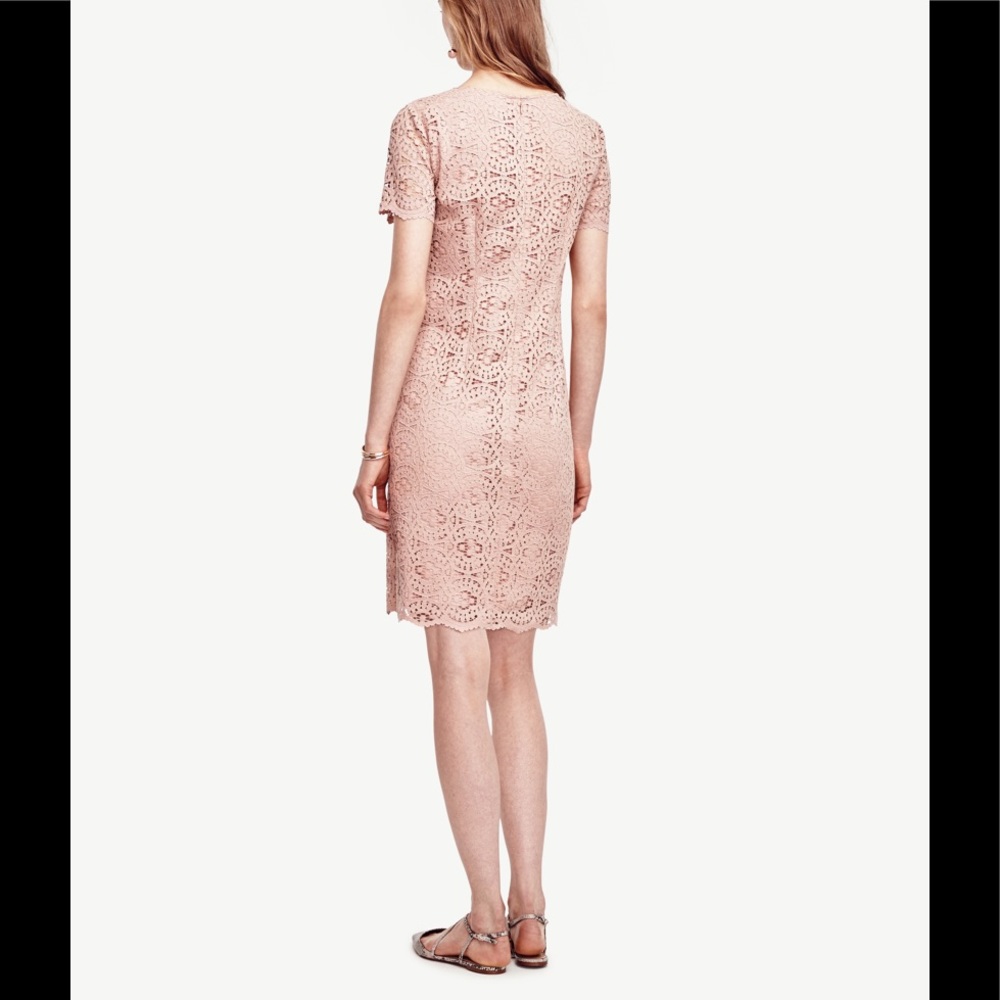 Ann Taylor mosaic lace shift dress - Picture 5 of 8