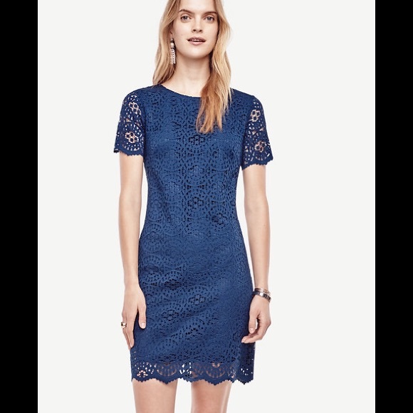 Ann Taylor mosaic lace shift dress - Picture 4 of 8