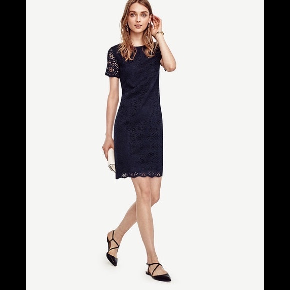 Ann Taylor mosaic lace shift dress - Picture 2 of 8