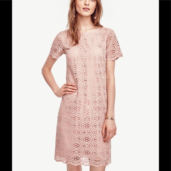 Ann Taylor mosaic lace shift dress - Picture 3 of 8
