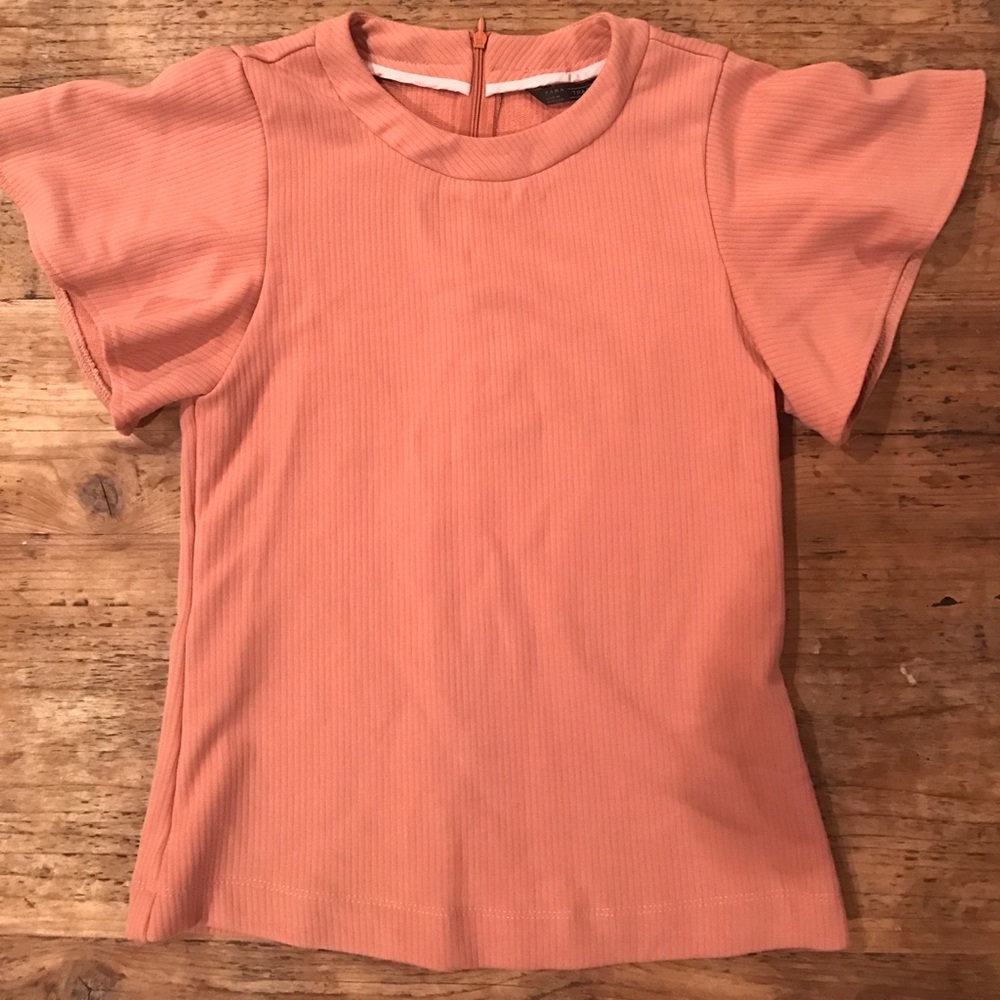 Zara flutter sleeve top
