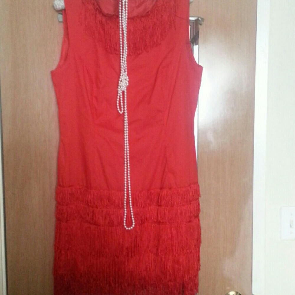 Flapper Dress (Homemade)