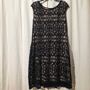 Gold & Navy Lace Dress
