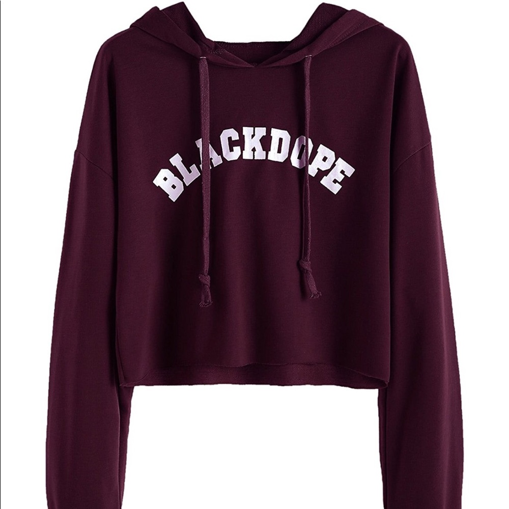 Maroon Cropped sweat shirt