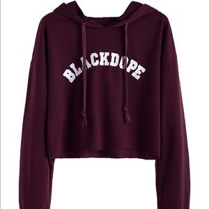 Maroon Cropped sweat shirt