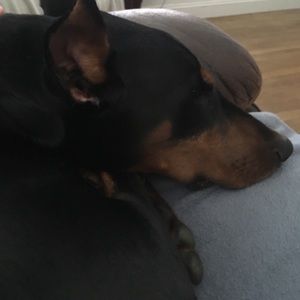 Meet your Posher, Jackson